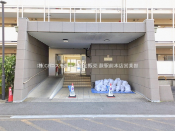 �G���g�����X�@-