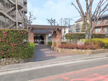 �G���g�����X�@-