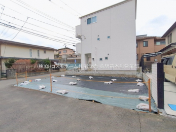 ���n�y�n�ʐ^�@-