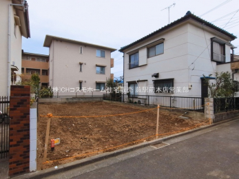 ���n�y�n�ʐ^�@-