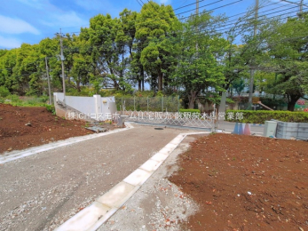 ���n�y�n�ʐ^�@-