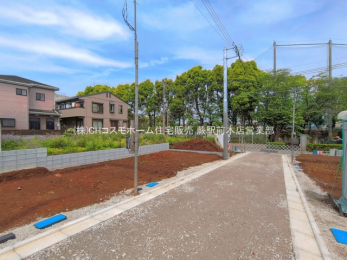 ���n�y�n�ʐ^�@-