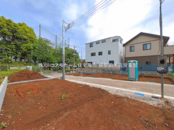 ���n�y�n�ʐ^�@-