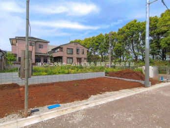 ���n�y�n�ʐ^�@-