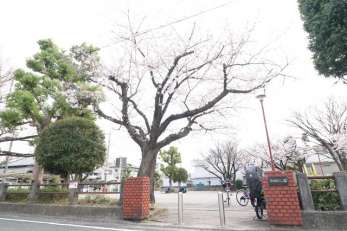 ���ӊ��@�V�c�������i90m�j