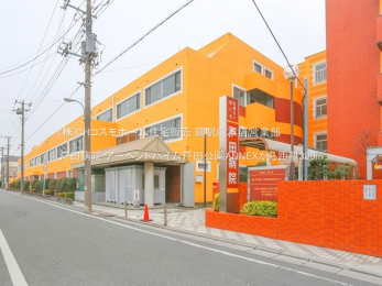 ���ӊ��@�˓c�a�@�i390m�j