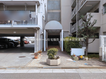 �G���g�����X�@-