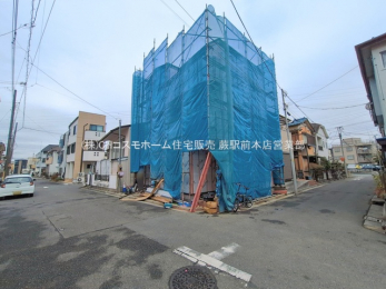 ���n�O�ώʐ^�@-