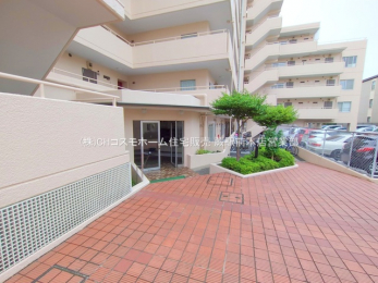 �G���g�����X�@-