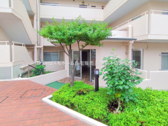 �G���g�����X�@-