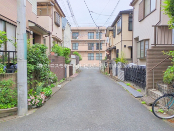 ���n�y�n�ʐ^�@-