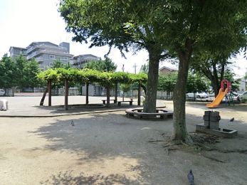 ���ӊ��@�݂��ٌ����i240m�j