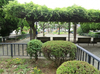 ���ӊ��@�����̖،����i350m�j