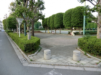 ���ӊ��@��؍葫���_�Ќ����i2100m�j